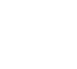 pdfIcon2